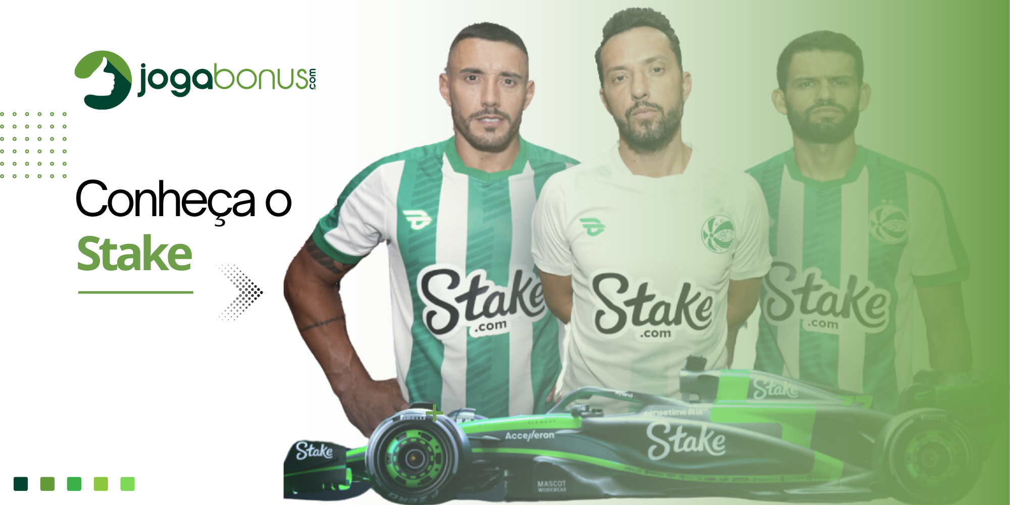 Conheça o Stake Cassino Online